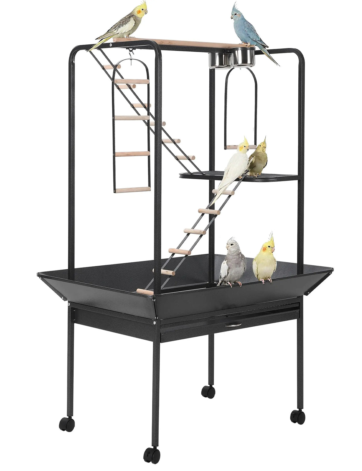 Large 66'' Black Bird Cage Play Center – Perches, Ladders, Rotating Ring, Removable Tray, Lockable Casters – Spacious Detachable Aviary for Macaw, Parakeet, Conure