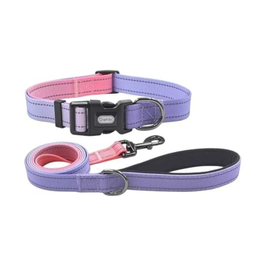 Dog Collar Leash Set, Floral Pattern, with Safety Reflective Strips, 5 Feet Matching Leash, Neoprene Padded Handle, Adjustable