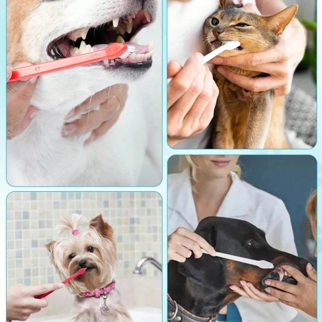 5pcs Anti-Choking Slow Feeder Dog Bowl Non-Slip 3/4 Cup -4pcs Double-Sided Toothbrushes + 1pc Lick Feeder Bowl , Lick Toy for Liquid Treats Bone Broth Ice Cream Yogurt