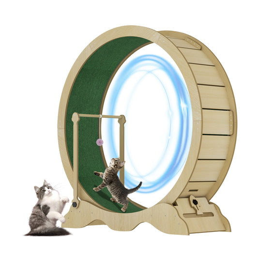 Quiet Cat Exercise Wheel for Indoor Cats – Large 43-48 Inch Cat Treadmill – Sturdy, Detachable Carpet, Supports Fitness and Training – Ideal for Living Room or Bedroom