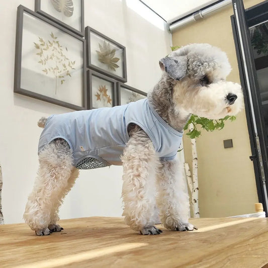 1pc Dog Anti-People Clothing, Mother Cat Breathable Spay Clothes, Puppy Weaning Suit, Post-Operation Anti-Licking Gear