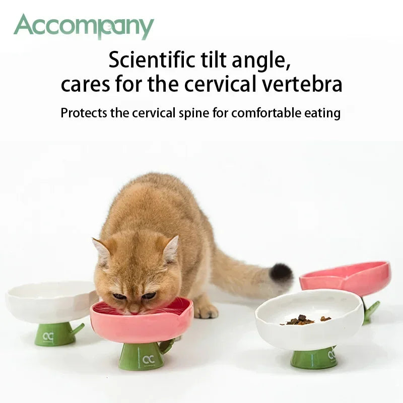 Tulip Shaped Elevated Ceramic Cat Bowl, Raised Pet Food Water Bowl for Cats, Anti-Vomiting Kitten Feeder